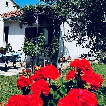 Studio Benassi Poreč Kültér fotó